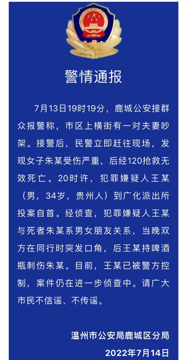 温州砍人事件最新动态，深度分析与观点阐述