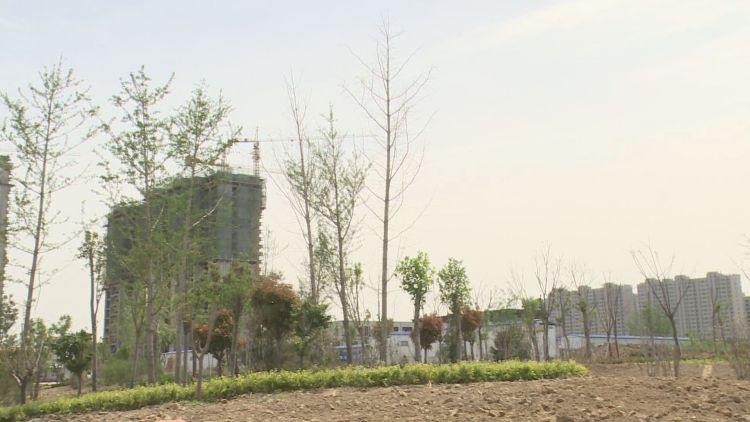 成武县棚户区改造最新规划亮相，未来展望美好🌆