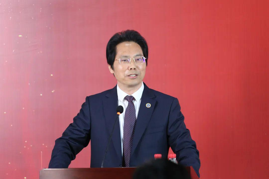 潘丽春最新动态，时尚舞台上的耀眼光芒