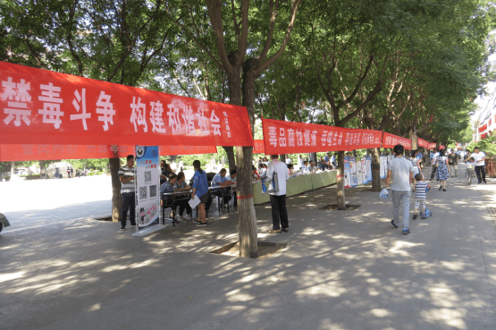 澄城魏树槐最新动态，全面了解与跟进的步骤指南
