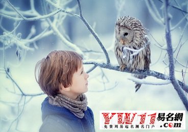 带木字旁的网名最新版，网络身份与个性表达的探索之旅